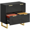HOMCOM Classeur lateral a 2 tiroirs, noir brillant
