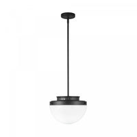 Suspension A 1 lampe Dahlia De 12 po, Noire
