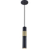 Luminaire suspendu Passwell de Dainolite avec fini noir mat et laiton vieilli et 1 ampoule