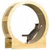 Roue Pour Chat De 36 Po Pour Chats D'interieur Et Griffoirs