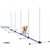 Kit d'agilite pour chien 4 pieces, tube d'eau pulverisee