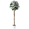 Arbre poinsettia blanc de 59 po