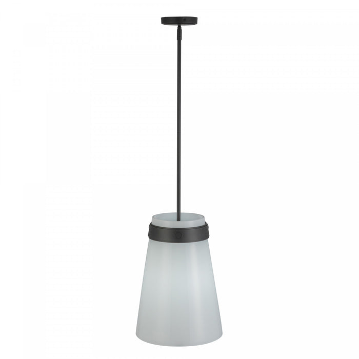 Suspension A 1 lampe Dahlia De 12 po, Noire