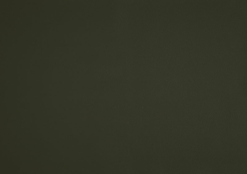 Fauteuil D'appoint Murdock En Cuir Vert