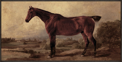 Horse Framed Acrylic Touch Art - 25" x 49" | Œuvre d’art tactile en acrylique encadrée « Horse » - 25 po x 49 po