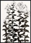 Œuvre d’art encadrée très lustrée « Botanica » - 33 po x 45 po
