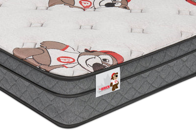 Brickley Eurotop Medium Full Mattress | matelas semi-ferme à Euro-plateau Brickley pour lit double