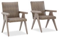 Ensemble de 2 chaises Muskoka pour la terrasse à l’extérieur - osier en résine, résistant aux rayons UV et aux intempéries - beige