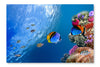 Threadfin Butterflyfish 28 po x 42 po : Oeuvre d’art murale en panneau de tissu sans cadre
