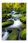 Slowing Water Down A Stream 16 po x 24 po : Oeuvre d’art murale en panneau de tissu sans cadre