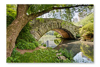 Bridge In Central Park 24 po x 36 po : Cadre d'art mural et panneau de tissu