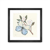 Œuvre d’art murale encadrée noire et mate « In The Garden Butterfly » 36 x 36