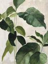 Œuvre d’art murale Giant Art « Tropical Study Ii » 72 x 54