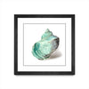 Œuvre d’art murale encadrée noire et mate « Shell In Mint » 36 x 36