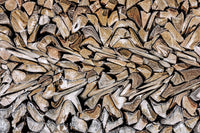 Œuvre d’art murale Giant Art « Pearson - Against The Grain » 84 x 54