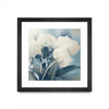 Œuvre d’art murale encadrée noire et mate « White Roses I » 30 x 30