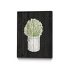 Œuvre d'art murale sur toile encadrée noire « Herbs On Black Wood Ii » 30 x 40