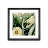 Œuvre d’art murale encadrée noire et mate « Cropped Turpin Tropicals Iii » 30 x 30