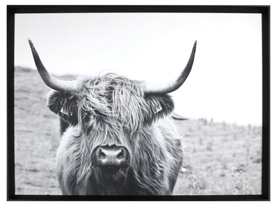 Framed Laminated Bull - 31" x 41"