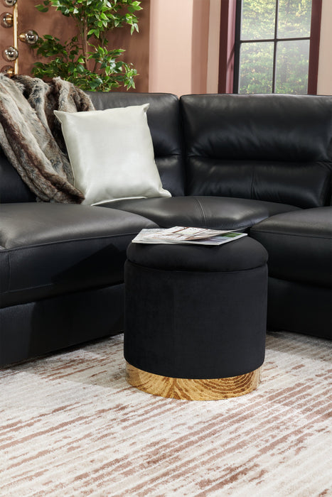 Pouf de rangement Phebe de 16,5 po avec base à bordures dorées - noir