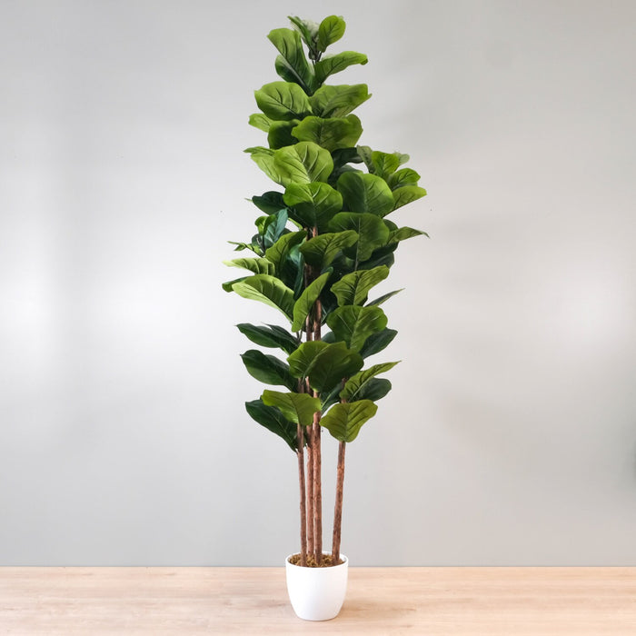 Plante artificielle figuier lyre 71 po