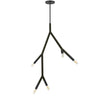 Luminaire suspendu Morgan de Dainolite avec fini noir mat et 5 ampoules