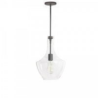 Petit luminaire suspendu Petalite de Dainolite en verre transparent, avec fini noir mat et 1 ampoule