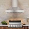 Hotte de cuisine murale Victory de 42 pouces 1200 CFM pour barbecue exterieur