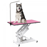 Pawhut Table De Toilettage Pour Chien, Table De Toilettage Professionnelle De Luxe Pour Chiens De Gr