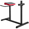 Soozier Chaise Romaine Pour Extensions Dorsales, Entrainement Abdo Fessiers