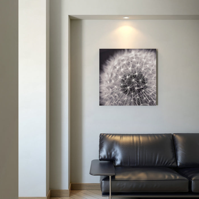 Œuvre d’art murale « Loop »