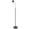 Lampe à pied de Dainolite avec fini noir satiné et ampoule à DEL de 5 W