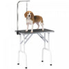 Table de Toilettage Pliable Robuste pour Animaux