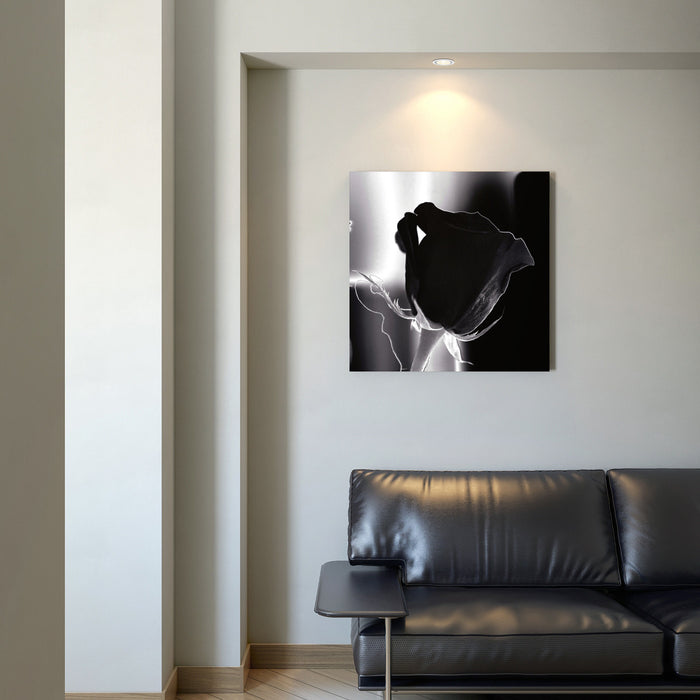Œuvre d’art murale « Daone »