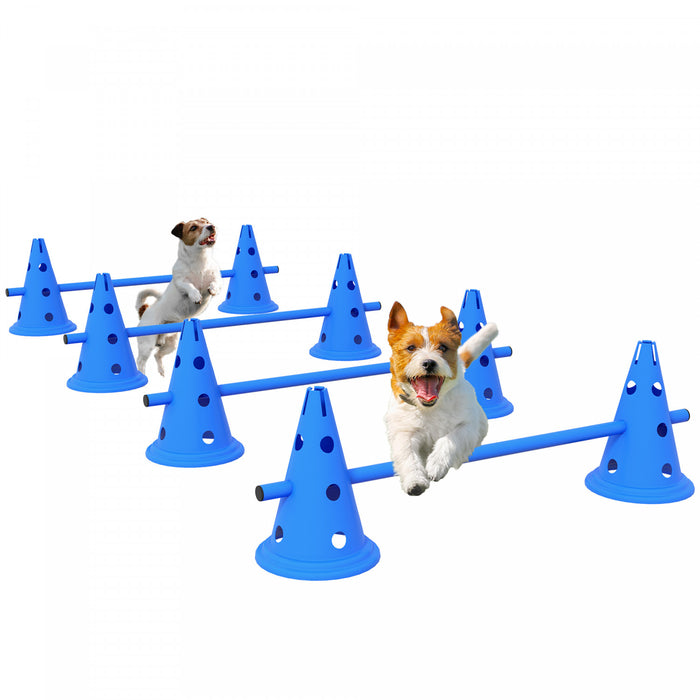 Ensemble d'entrainement d'agilite pour chien