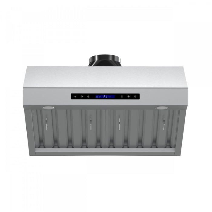 Hotte murale Palazzo de 30 po, acier inoxydable, filtres a chicanes-FRHWM5029-60