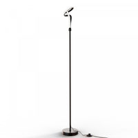 Lampe à pied à conception de boucle à DEL de 59 po noire
