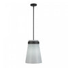 Suspension A 1 lampe Dahlia De 12 po, Noire