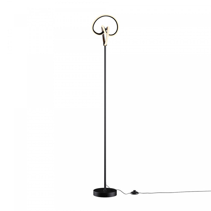 Lampe à pied à conception circulaire tordue à DEL de 58 po noir mat