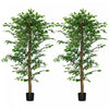 HOMCOM Lot de 2 arbres artificiels Ficus de 6pi pour decoration