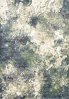 Carpette Dayton à aspect vieilli - 6 pi 7 po x 9 pi 6 po