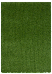 Tapis en Gazon Synthetique Contemporain 5'0