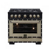 Cuisiniere double combustible Ambassador de 36 po, noire, 6 bruleurs scelles, 5,2 pi³ – FFSGS6199-36CPBLK