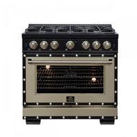 Cuisiniere double combustible Ambassador de 36 po, noire, 6 bruleurs scelles, 5,2 pi³ – FFSGS6199-36CPBLK