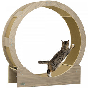 Roue De 91 Cm Pour Chats D'interieur Avec Frein, Plaques A Gratter