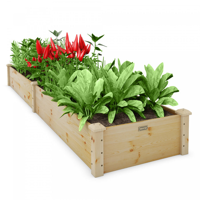 Lit De Jardin Sureleve En Bois De Sapin Sans Fond, Jardiniere Exterieure Pour Herbes, Legumes, Plantes, Lit De Plantation Pour Jardin, Balcon, Terrasse, Facile A Assembler, 240x60x25 Cm