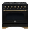 Cuisiniere a double combustible Antico 36 po , noire, 4,5 pi³ - FFSGS6113-36BLK