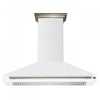 Hotte de cuisiniere murale Aria de 60 pouces en blanc inoxydable-FRHWM5095-60WHT