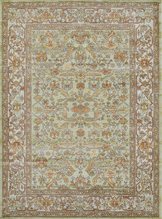 Tapis Traditionnel Hailey 5'3\" x 7'3\" en Vert