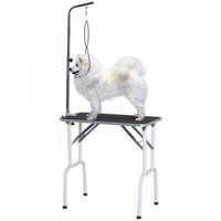 Pawhut Table De Toilettage Pliable Pour Animaux De Compagnie De 32 Po Table De Bain Professionnelle